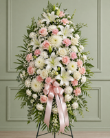 Silleta tribute