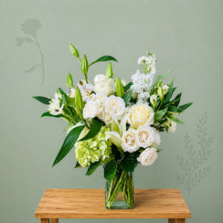 Elegancia Blanca